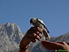 Campo Imperatore-photogallery-P1E2D0~1+.jpg